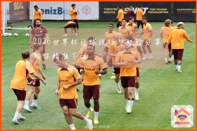 2026世界杯让球技巧与经验分享，助你精准下注