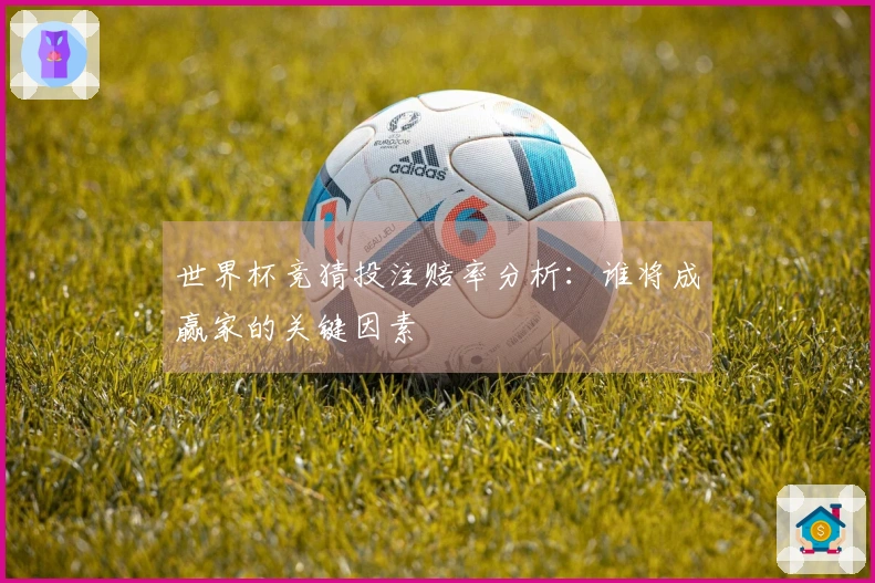 世界杯竞猜投注赔率分析:谁将成赢家的关键因素