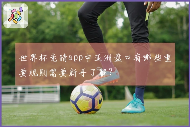 世界杯竞猜app中亚洲盘口有哪些重要规则需要新手了解？