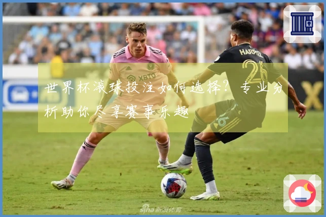 世界杯滚球投注如何选择？专业分析助你尽享赛事乐趣