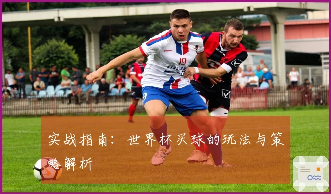 实战指南：世界杯买球的玩法与策略解析