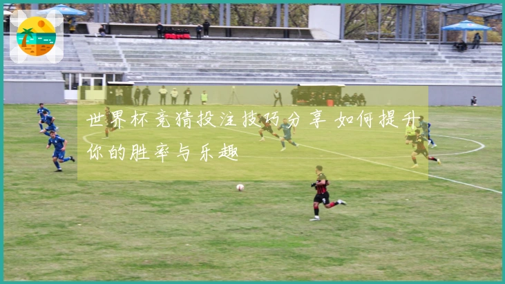世界杯竞猜投注技巧分享 如何提升你的胜率与乐趣