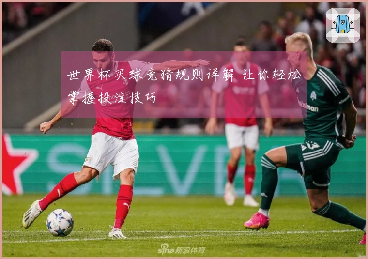 世界杯买球竞猜规则详解 让你轻松掌握投注技巧