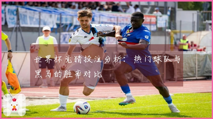 世界杯竞猜投注分析：热门球队与黑马的胜率对比