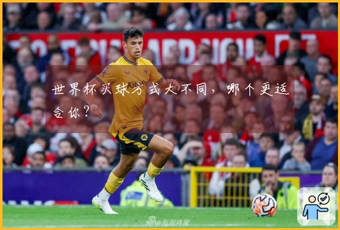 世界杯买球方式大不同，哪个更适合你？