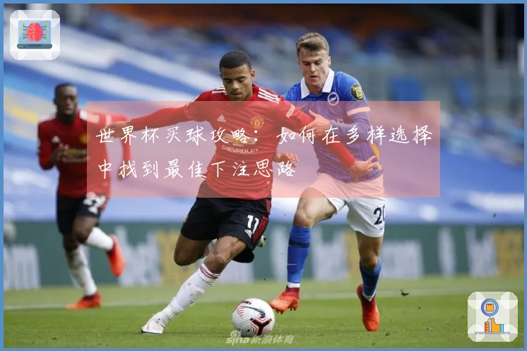 世界杯买球攻略：如何在多样选择中找到最佳下注思路